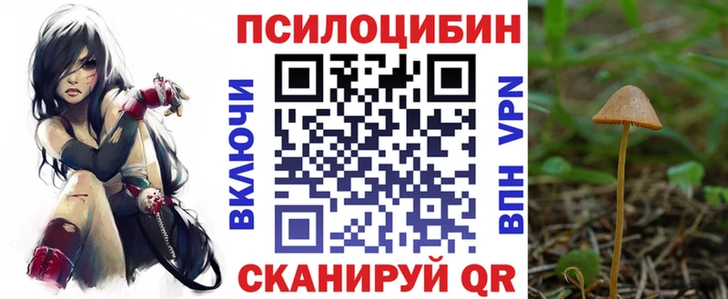 Галлюциногенные грибы Psilocybine cubensis  Севск 